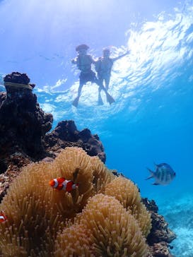 ちゃこたびに投稿された画像（2025/8/29）