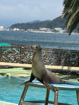 あわしまマリンパークに投稿された画像（2025/8/29）