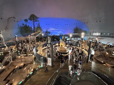 福井県立恐竜博物館に投稿された画像（2025/8/29）
