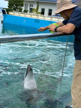 のとじま水族館に投稿された画像（2025/8/29）