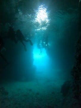 武藤潜水に投稿された画像（2025/8/29）