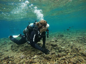 武藤潜水に投稿された画像（2025/8/29）