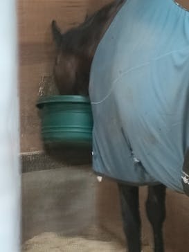 ノーザンホースパークに投稿された画像（2025/8/30）