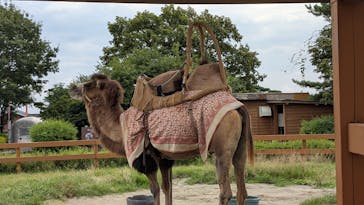 那須どうぶつ王国に投稿された画像（2025/8/30）