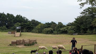 那須どうぶつ王国に投稿された画像（2025/8/30）