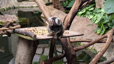 那須どうぶつ王国に投稿された画像（2025/8/30）