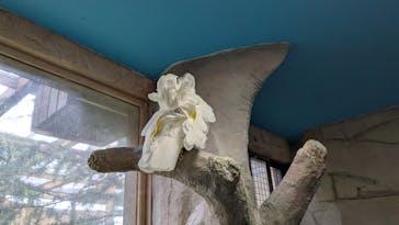 那須どうぶつ王国に投稿された画像（2025/8/30）