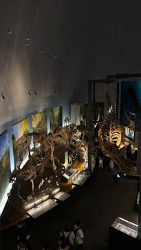 福井県立恐竜博物館に投稿された画像（2025/8/30）