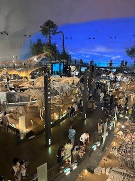 福井県立恐竜博物館に投稿された画像（2025/8/30）