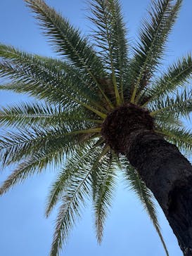 東武動物公園に投稿された画像（2025/8/30）