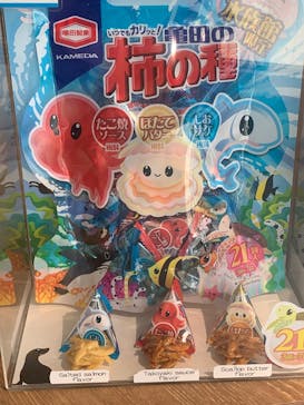 サンシャイン水族館に投稿された画像（2025/8/30）