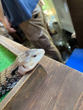 体感型動物園iZooに投稿された画像（2025/8/30）