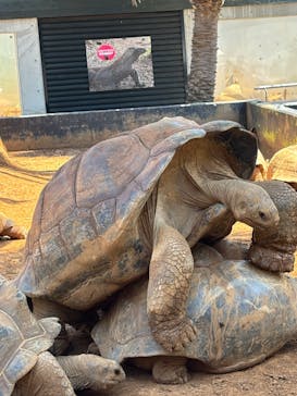 体感型動物園iZooに投稿された画像（2025/8/30）