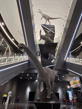 福井県立恐竜博物館に投稿された画像（2025/8/30）