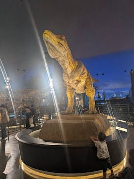 福井県立恐竜博物館に投稿された画像（2025/8/30）