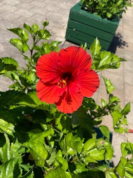 九十九島パールシーリゾートに投稿された画像（2025/8/30）