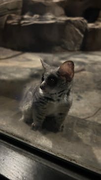 千葉市動物公園に投稿された画像（2025/8/30）