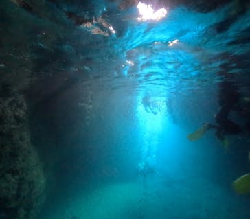 武藤潜水に投稿された画像（2025/8/30）