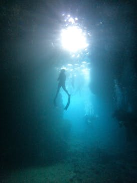 武藤潜水に投稿された画像（2025/8/30）