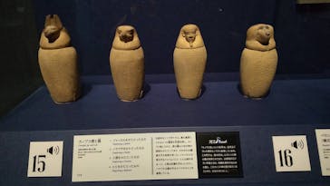ブルックリン博物館所蔵　特別展　古代エジプト（豊田会場）に投稿された画像（2025/8/30）