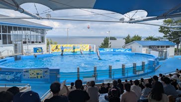 のとじま水族館に投稿された画像（2025/8/30）