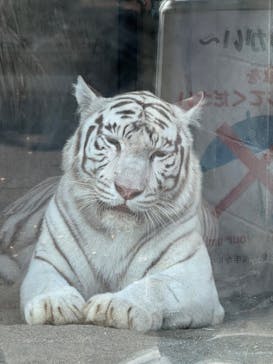 東武動物公園に投稿された画像（2025/8/30）