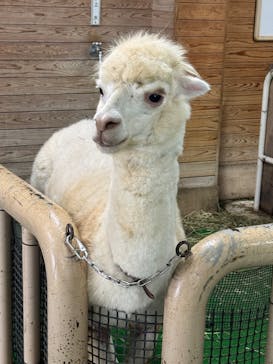 東武動物公園に投稿された画像（2025/8/30）