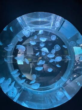 AOAO SAPPOROに投稿された画像（2025/8/30）