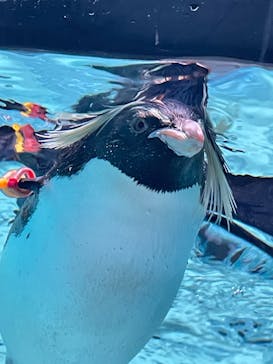 AOAO SAPPOROに投稿された画像（2025/8/30）