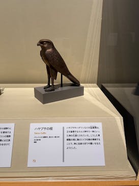 ブルックリン博物館所蔵　特別展　古代エジプト（豊田会場）に投稿された画像（2025/8/30）