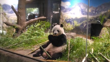 恩賜上野動物園に投稿された画像（2025/8/30）