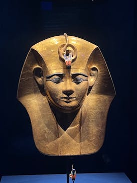 ACN ラムセス大王展 ファラオたちの黄金に投稿された画像（2025/8/30）