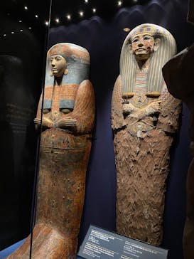 ACN ラムセス大王展 ファラオたちの黄金に投稿された画像（2025/8/30）