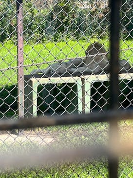 那須サファリパークに投稿された画像（2025/8/30）