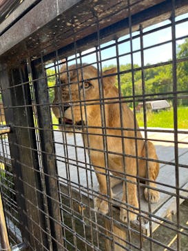 那須サファリパークに投稿された画像（2025/8/30）