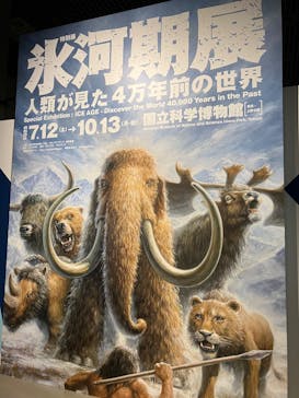 特別展「氷河期展 〜人類が見た4万年前の世界〜」（国立科学博物館）に投稿された画像（2025/8/30）