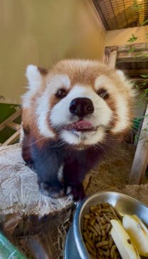 東武動物公園に投稿された画像（2025/8/30）