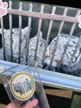 東武動物公園に投稿された画像（2025/8/30）