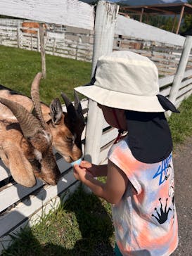 滋賀農業公園ブルーメの丘に投稿された画像（2025/8/30）