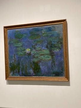 モネ 睡蓮のとき（豊田会場）に投稿された画像（2025/8/30）