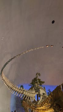 福井県立恐竜博物館に投稿された画像（2025/8/30）