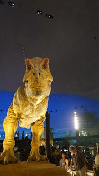 福井県立恐竜博物館に投稿された画像（2025/8/30）