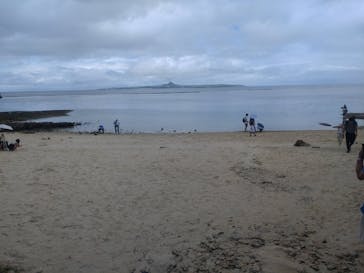 沖縄美ら海水族館に投稿された画像（2025/8/30）