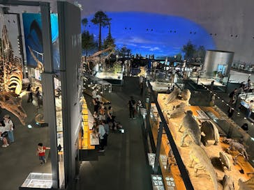 福井県立恐竜博物館に投稿された画像（2025/8/30）