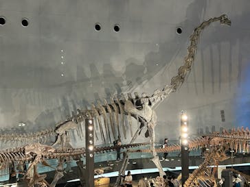 福井県立恐竜博物館に投稿された画像（2025/8/30）