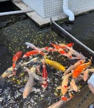 浜名湖体験学習施設ウォットに投稿された画像（2025/8/30）