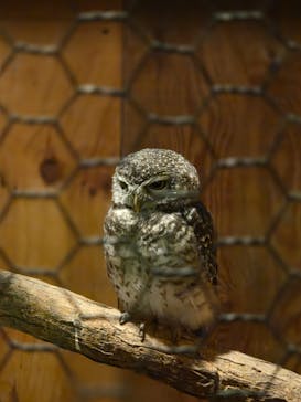 那須サファリパークに投稿された画像（2025/8/30）