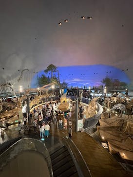 福井県立恐竜博物館に投稿された画像（2025/8/30）