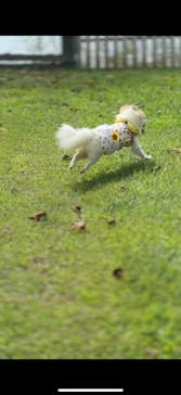 成田ゆめ牧場に投稿された画像（2025/8/30）