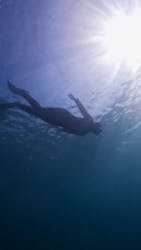 葉山ダイビングサービスに投稿された画像（2025/8/30）